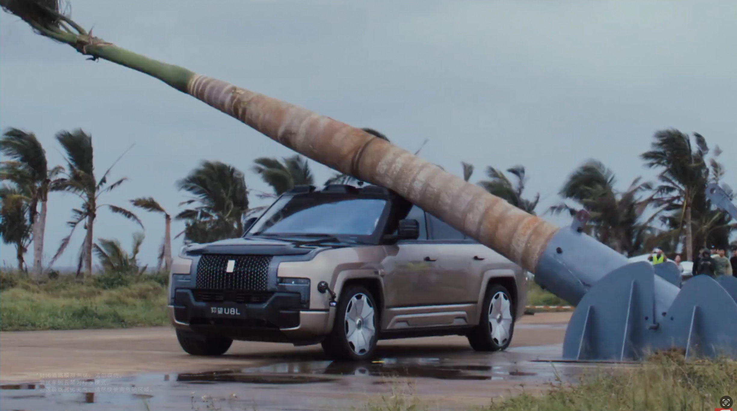 Βίντεο: Φοινικόδεντρο ύψους 13 μέτρων πέφτει πάνω σε κινεζικό BYD και αυτό δεν παθαίνει τίποτα!