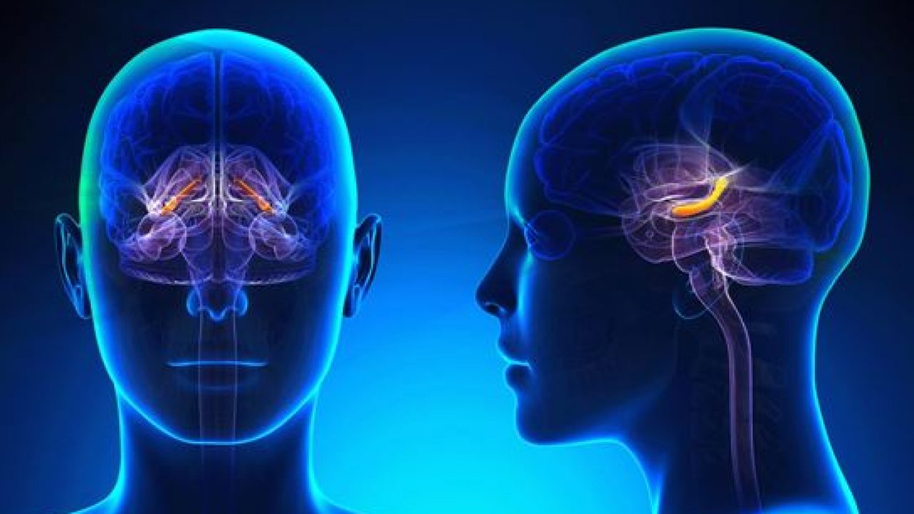 Γλοιοβλάστωμα: Ρινικές νανοσταγόνες εξαλείφουν όγκους εγκεφάλου – Τι έχουν δείξει τα πρώτα πειράματα