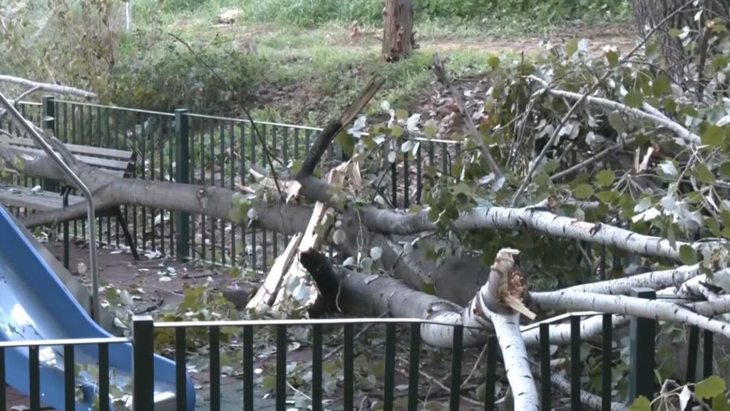 Δέντρο έπεσε σε παιδική χαρά στο Χαϊδάρι: Δύο μέρες δεν το έχει μαζέψει ο δήμος (βίντεο)