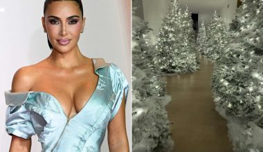 «Τίποτα το εντυπωσιακό & κομψό»: Η Κιμ Καρντάσιαν στόλισε για τα Χριστούγεννα & προκάλεσε «βροχή» σχολίων (βίντεο)