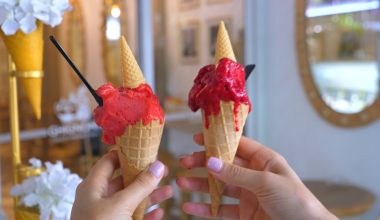 Αυτός είναι ο  Έλληνας που εφηύρε το παγωτό μηχανής