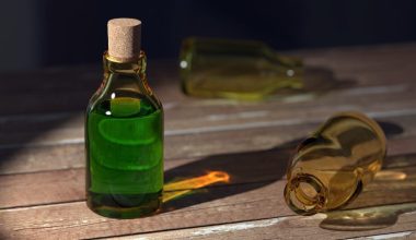 Οι Βρετανοί ισχυρίζονται ότι ο Β.Πούτιν φέρει ηθική ευθύνη για τον θάνατο της Dawn Sturgess από Νόβιτσοκ