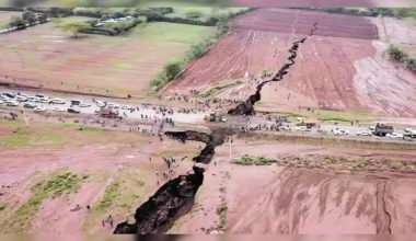 Η Αφρική «σπάει» στα δύο: Νέα έρευνα ανατρέπει όσα ξέραμε για το Ανατολικοαφρικανικό Ρήγμα