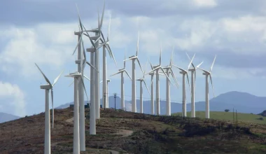 Καταστρέφουν και τον Πάρνωνα «φυτεύοντας» ανεμογεννήτριες!