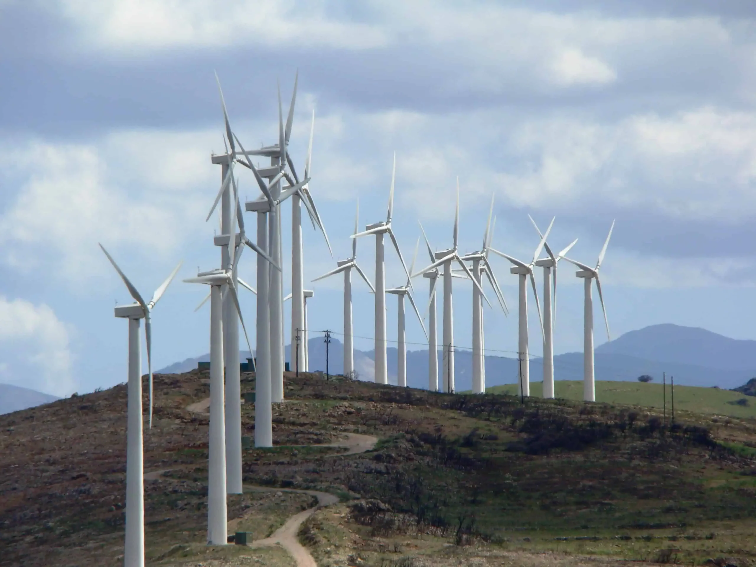 Καταστρέφουν και τον Πάρνωνα «φυτεύοντας» ανεμογεννήτριες!
