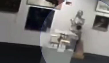 Βίντεο: 5χρονο αγόρι κατέστρεψε γλυπτό αξίας 132.000 δολαρίων στο Κάνσας!