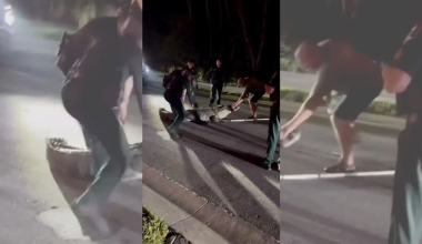 Φλόριντα: Αλιγάτορας μήκους 4,2 μέτρων βγήκε στη μέση του δρόμου και… «έκοψε» την κυκλοφορία (βίντεο)