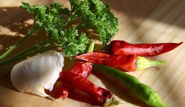 Ιδανικές για τις κρύες μέρες του χειμώνα: Αυτές είναι οι τροφές που ενισχύουν τη θερμογένεση