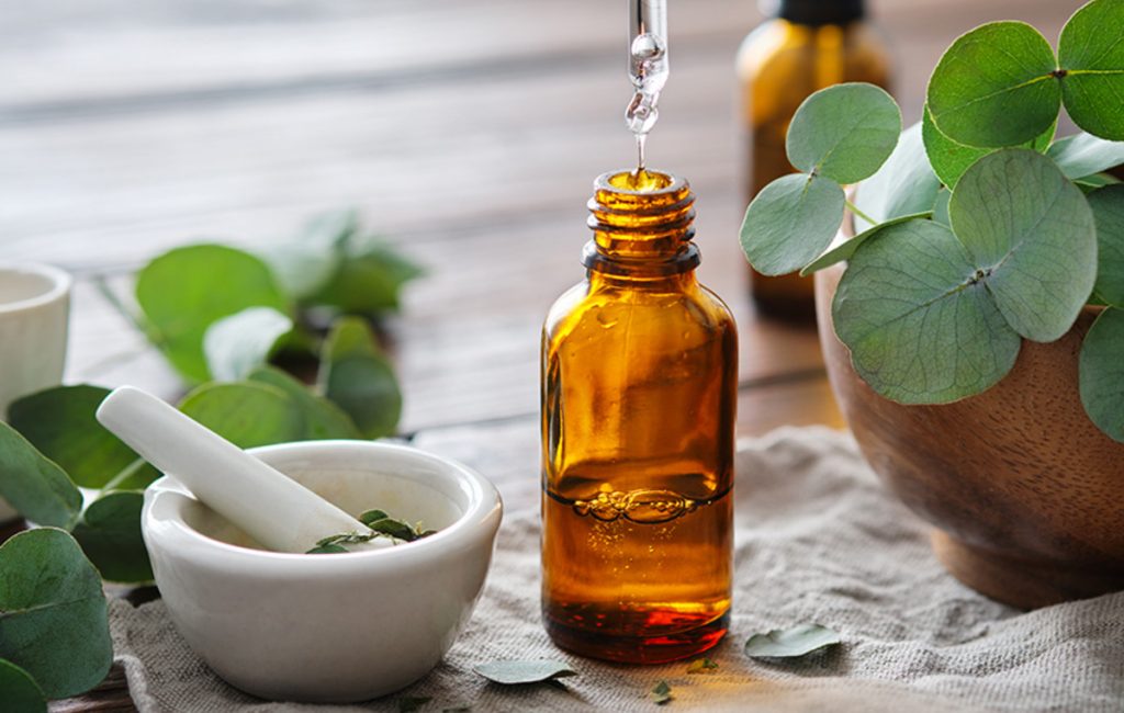 Αυτά είναι τα οφέλη που έχει το έλαιο ευκαλύπτου – Τι πρέπει να προσέχετε