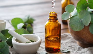 Αυτά είναι τα οφέλη που έχει το έλαιο ευκαλύπτου – Τι πρέπει να προσέχετε