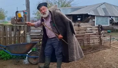 Η ελληνική φυλή προβάτων Ρουμλουκίου άντεξε αιώνες τουρκοκρατίας – Τώρα δόθηκε η εντολή για την σφαγή τους