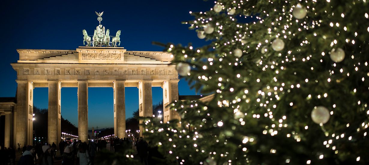 Γερμανία: Μουσουλμάνος καταστρέφει χριστουγεννιάτικα δέντρα στους δρόμους επειδή είναι «ενάντια στη θρησκεία του»!