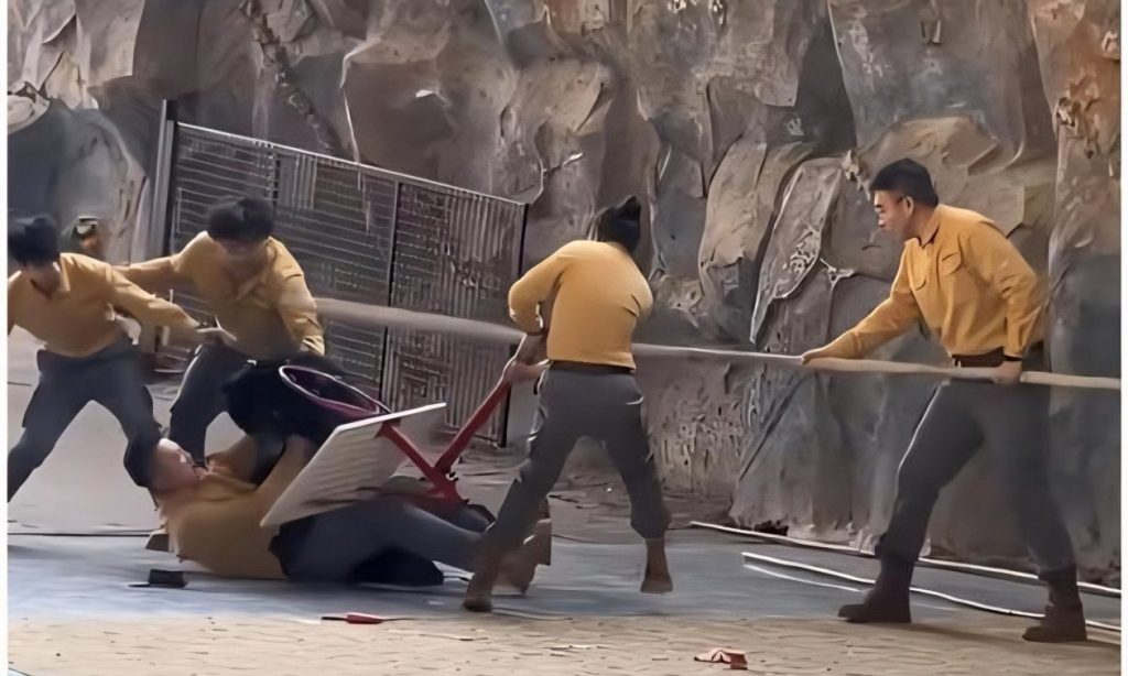 Πανικός σε ζωολογικό κήπο της Κίνας: Αρκούδα επιτέθηκε σε εκπαιδευτή της για μια τσάντα μήλα – Δείτε βίντεο