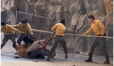 Πανικός σε ζωολογικό κήπο της Κίνας: Αρκούδα επιτέθηκε σε εκπαιδευτή της για μια τσάντα μήλα – Δείτε βίντεο