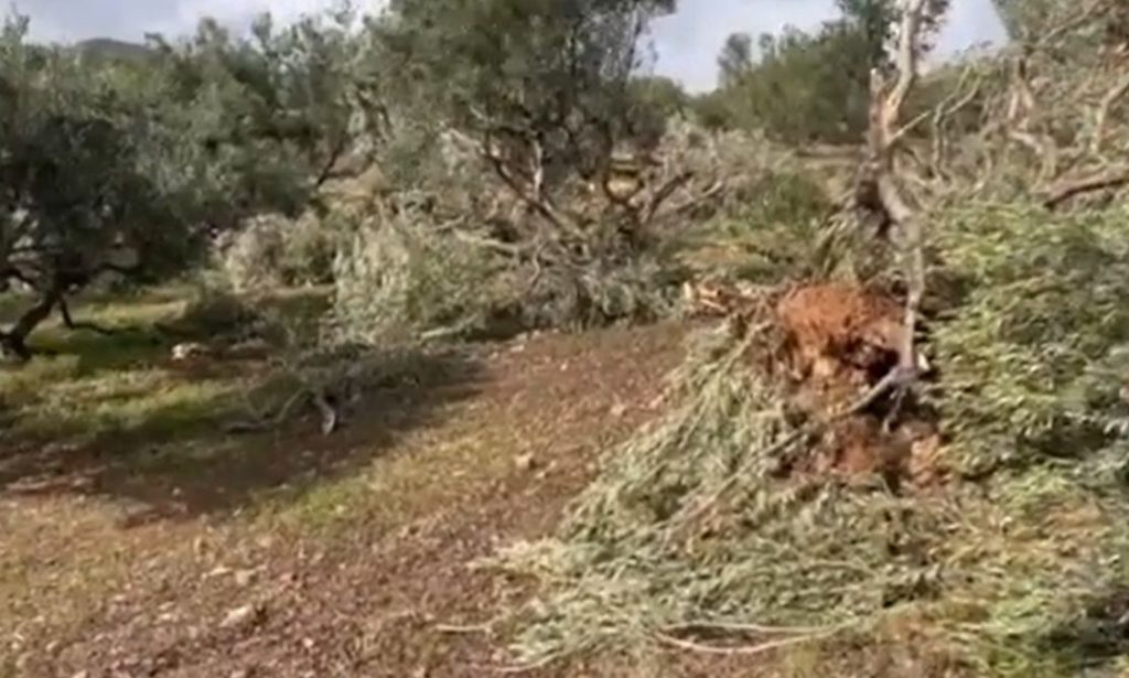 Kρήτη: Ανεμοστρόβιλος «σάρωσε» τη Ζάκρο – Mεγάλες καταστροφές σε σπίτια και ελαιώνες (βίντεο)