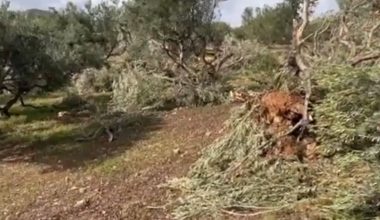 Kρήτη: Ανεμοστρόβιλος «σάρωσε» τη Ζάκρο – Mεγάλες καταστροφές σε σπίτια και ελαιώνες (βίντεο)