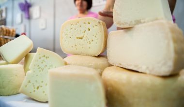 Taste Atlas: Το ελληνικό τυρί που βρέθηκε στην κορυφή του κόσμου για το 2025