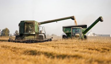 Αποζημιώσεις 12 δισ. δολαρίων δίνει στους αγρότες η κυβέρνηση Ν.Τραμπ