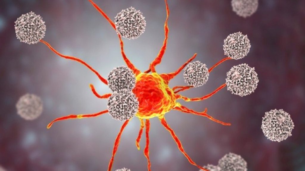 Όσα πρέπει να ξέρετε για τα αυξημένα λεμφοκύτταρα – Ποιες οι αιτίες