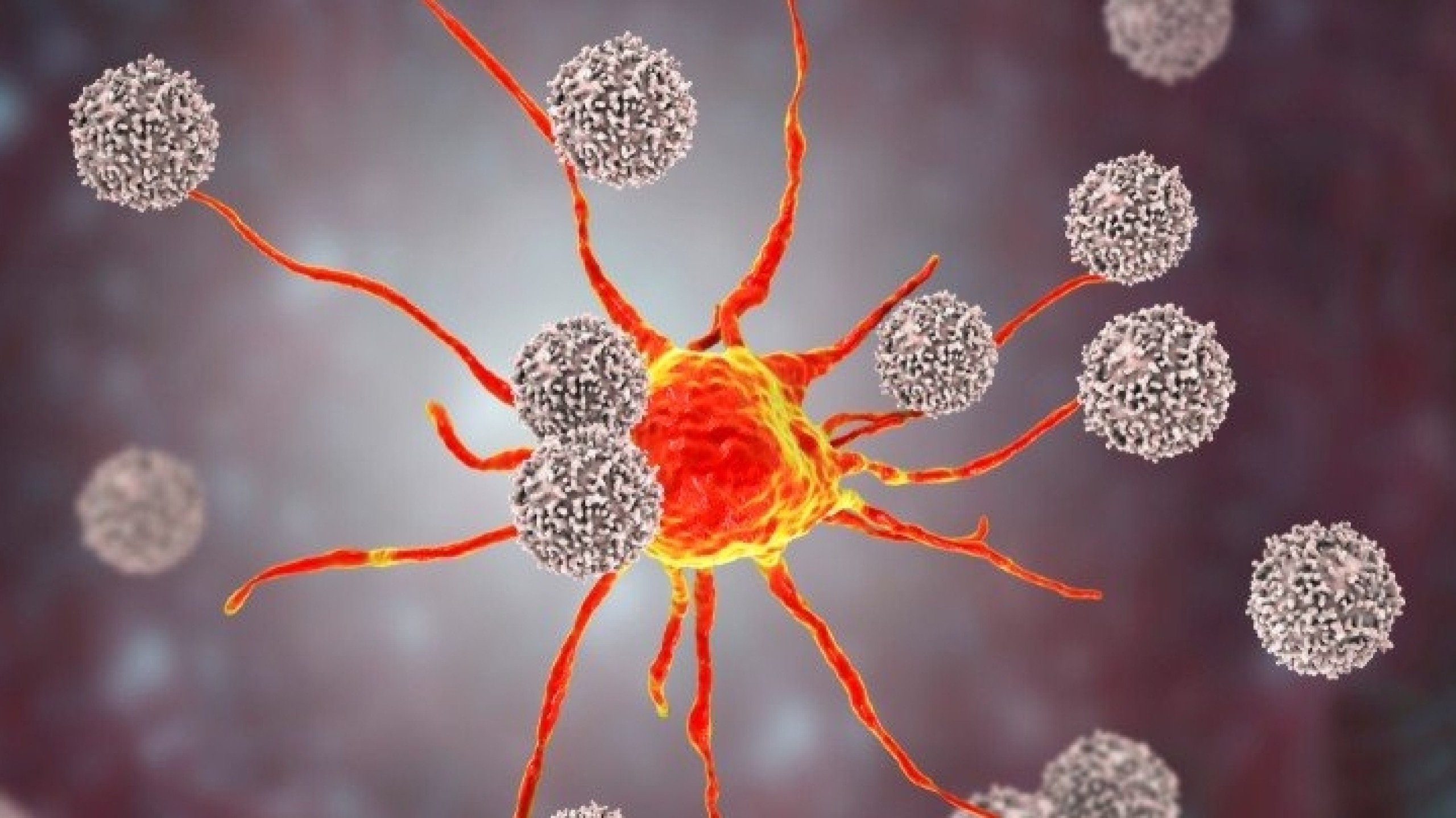 Όσα πρέπει να ξέρετε για τα αυξημένα λεμφοκύτταρα – Ποιες οι αιτίες