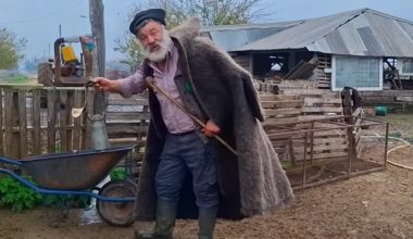 Τώρα αμφισβητείται η ύπαρξη της «σπάνιας φυλής αιγοπροβάτων Ρουμλουκίου»