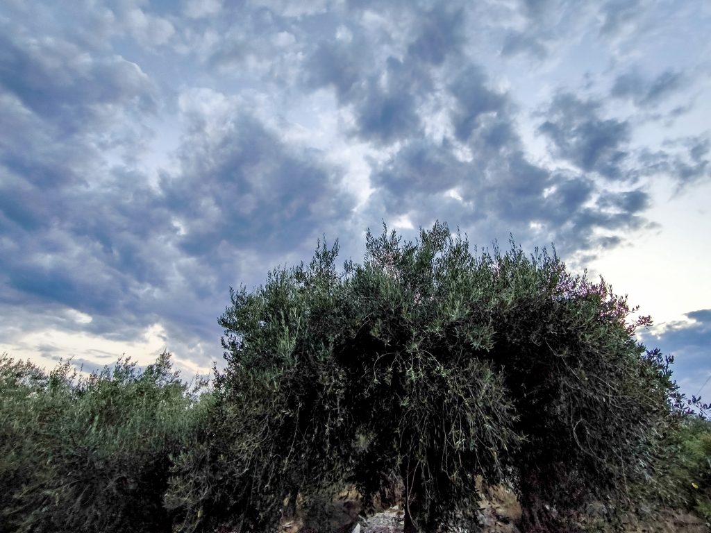 Καιρός: Αίθριος αύριο με λίγες τοπικές νεφώσεις – Έως 20 βαθμούς Κελσίου η θερμοκρασία