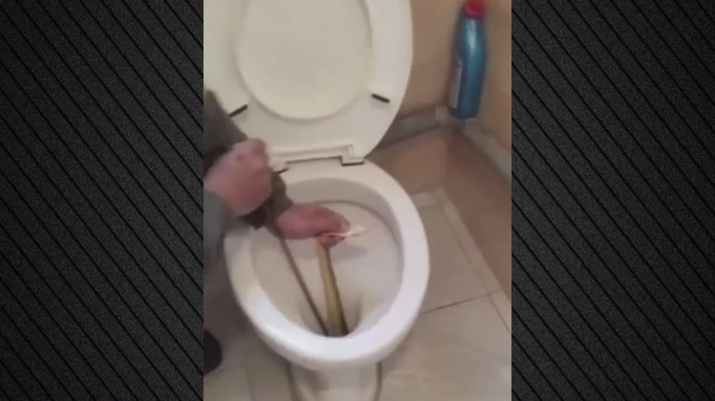 Καστοριά: Φίδι ενός μέτρου «κρυβόταν» σε λεκάνη τουαλέτας σε σπίτι επί δύο εβδομάδες! – Δείτε βίντεο