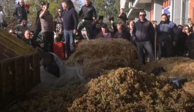 Καβάλα: Αγρότες καίνε άχυρα, πετάνε ντομάτες και σταφύλια και ρίχνουν γάλα στην Εφορία