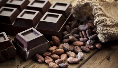 H μαύρη σοκολάτα ενδέχεται να επιβραδύνει τη γήρανση: Τα αποκαλυπτικά ευρήματα για την ουσία θεοβρομίνη