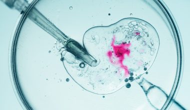 Οδηγίες από την Εθνική Αρχή Υποβοηθούμενης Αναπαραγωγής στους Έλληνες γονείς για το γενετικό υλικό του Δανού δότη