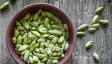Δείτε ποια είναι τα οφέλη που έχει για την υγεία το κάρδαμο