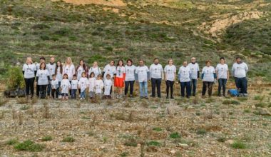 «Φύτεψε σήμερα – Ανέπνευσε αύριο»: Η Σέριφος πρωτοπορεί στην αντιμετώπιση της κλιματικής κρίσης στις Κυκλάδες