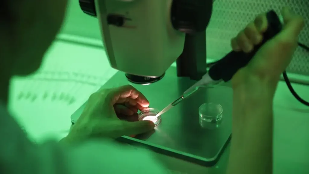 Πόσο πιθανό είναι να μεταδοθούν θανατηφόρες γενετικές μεταλλάξεις από δότες σπέρματος