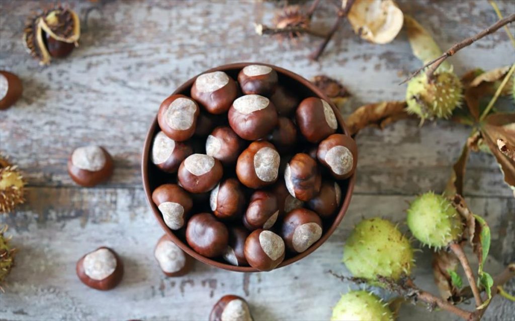 Τα οφέλη που έχουν για την υγεία τα κάστανα: Δείτε τι αλλάζει αν τα τρώτε ωμά, ψητά ή βραστά