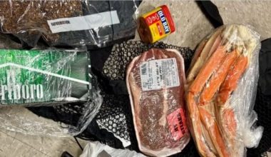 Νότια Καρολίνα: Drone «εφοδιάστηκε» με χριστουγεννιάτικες λιχουδιές και τις έριξε σε κρατούμενους φυλακής (βίντεο)