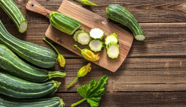 Αυτά είναι τα οφέλη που έχουν για την υγεία τα κολοκυθάκια
