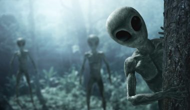 Ο ερευνητής Alex Collier μιλά για τις φρικαλεότητες των «ερπετοειδών» και των «γκρίζων»