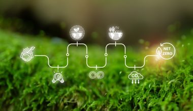 Η ΔΕΠΑ Εμπορίας σε τροχιά περιφερειακής ενίσχυσης και διαφοροποίησης