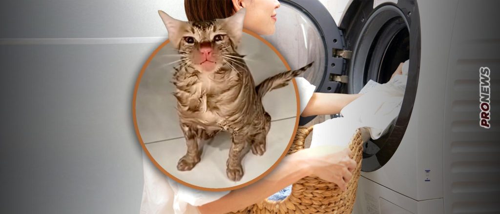 Βίντεο: Γυναίκα στην Κίνα έβαλε κατά λάθος στο πλυντήριο μαζί με τα ρούχα τη… γάτα της