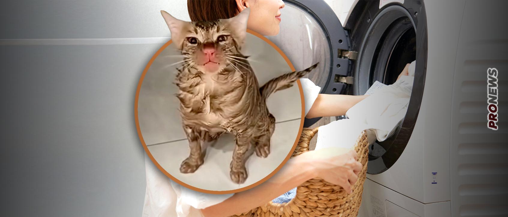 Βίντεο: Γυναίκα στην Κίνα έβαλε κατά λάθος στο πλυντήριο μαζί με τα ρούχα τη… γάτα της