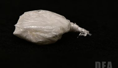 Αδιανόητο συμβάν στην Λευκάδα: Κατάπιε σακουλάκι με ναρκωτικά σε έλεγχο της ΕΛ.ΑΣ  αλλά πνίγηκε!