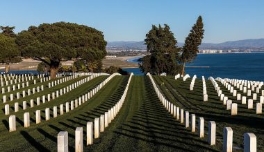 Καλιφόρνια: Γραφείο τελετών αντί για τα ρούχα του νεκρού έδωσε στον πατέρα του… ανθρώπινο εγκεφαλικό ιστό