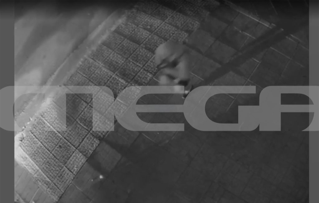 Η στιγμή που αστυνομικοί της ΟΠΚΕ ακινητοποιούν το όχημα του 16χρονου γιου του Μ.Κατρίνη: «Κάτσε κάτω» (βίντεο)