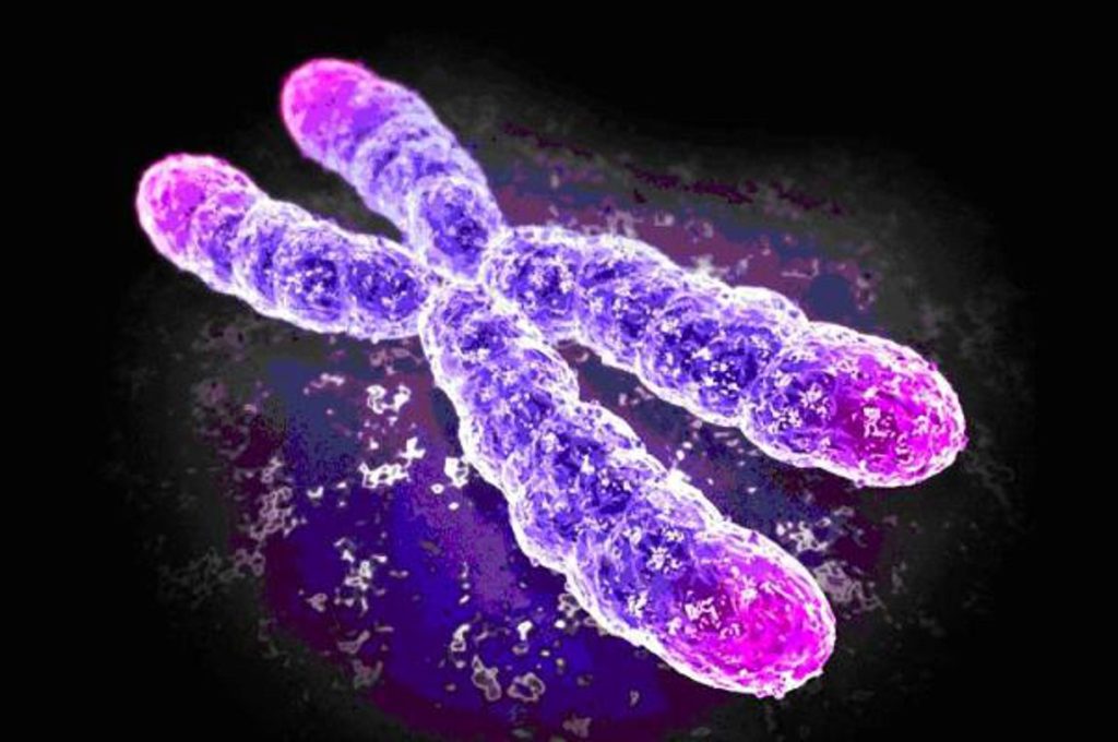 Επιστήμονες ανακοίνωσαν πως ανακάλυψαν ένα νέο πλάσμα «που κινείται στα όρια της ζωής»