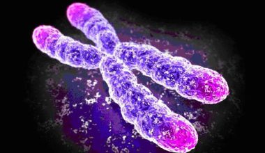 Επιστήμονες ανακοίνωσαν πως ανακάλυψαν ένα νέο πλάσμα «που κινείται στα όρια της ζωής»