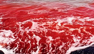 Ιράν: H βροχή βάφτηκε… κόκκινη στη νήσο Ορμούζ – Εντυπωσιακά πλάνα