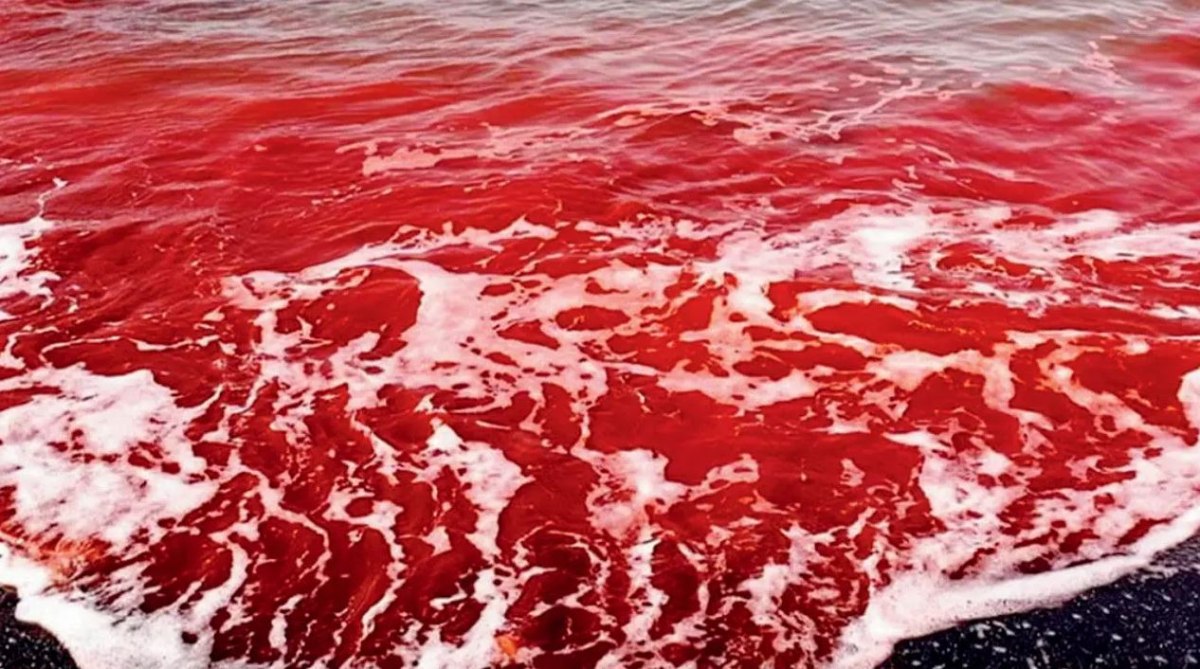 Ιράν: Η βροχή «έβαψε» κόκκινη τη θάλασσα στο νησί Ορμούζ (βίνεο)