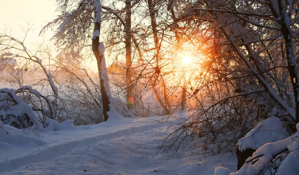 Χειμερινό Ηλιοστάσιο: Στις 21 Δεκεμβρίου η μεγαλύτερη νύχτα του χρόνου