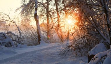 Χειμερινό Ηλιοστάσιο: Στις 21 Δεκεμβρίου η μεγαλύτερη νύχτα του χρόνου
