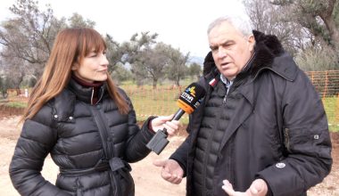 Πέθανε ο δήμαρχος και στέλεχος της ΚΕΔΕ Γιώργος Ψαθάς